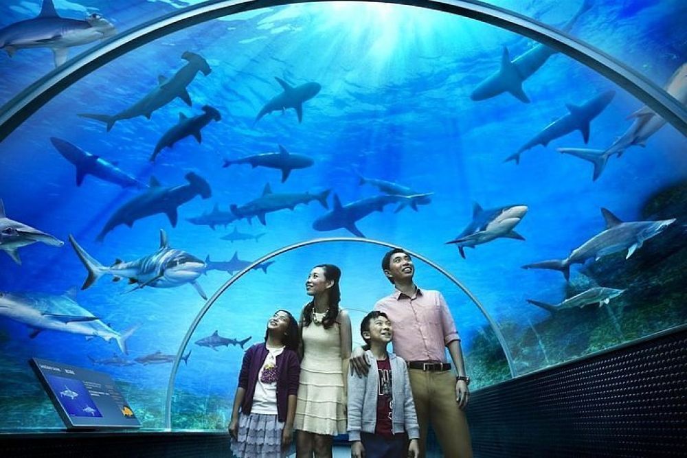 Underwater World Langkawi