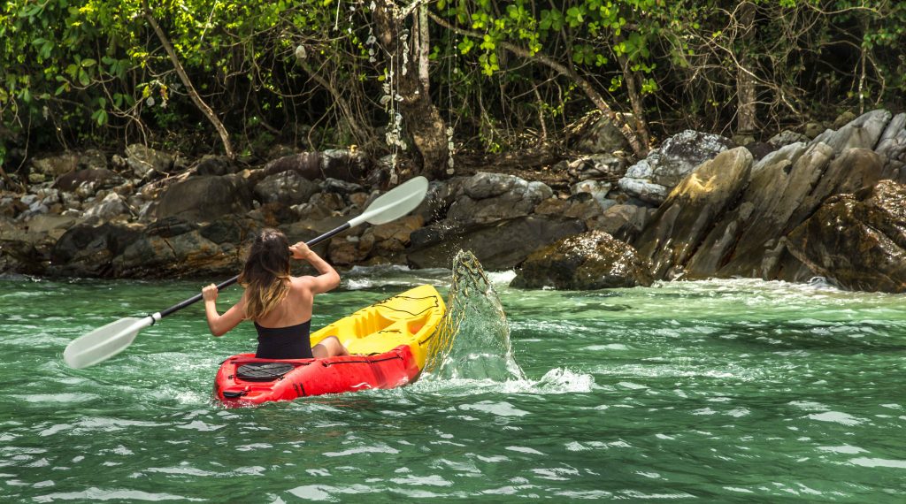 mangrove kayaking in malaysia