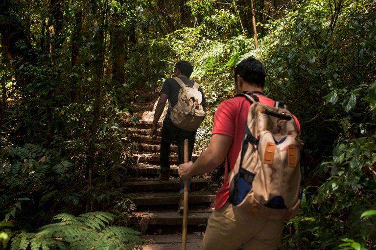 jungle trekking in kuala lumpur
