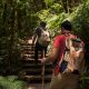 jungle trekking in kuala lumpur