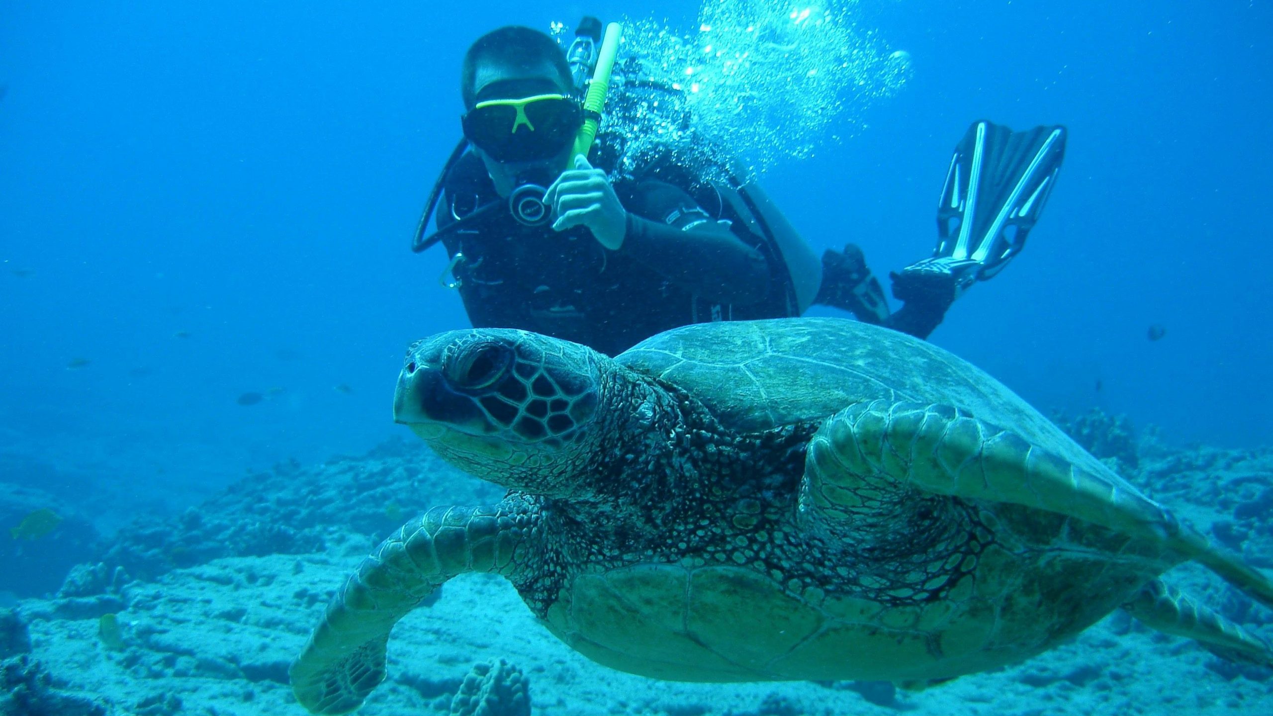 scuba diving in langkawi