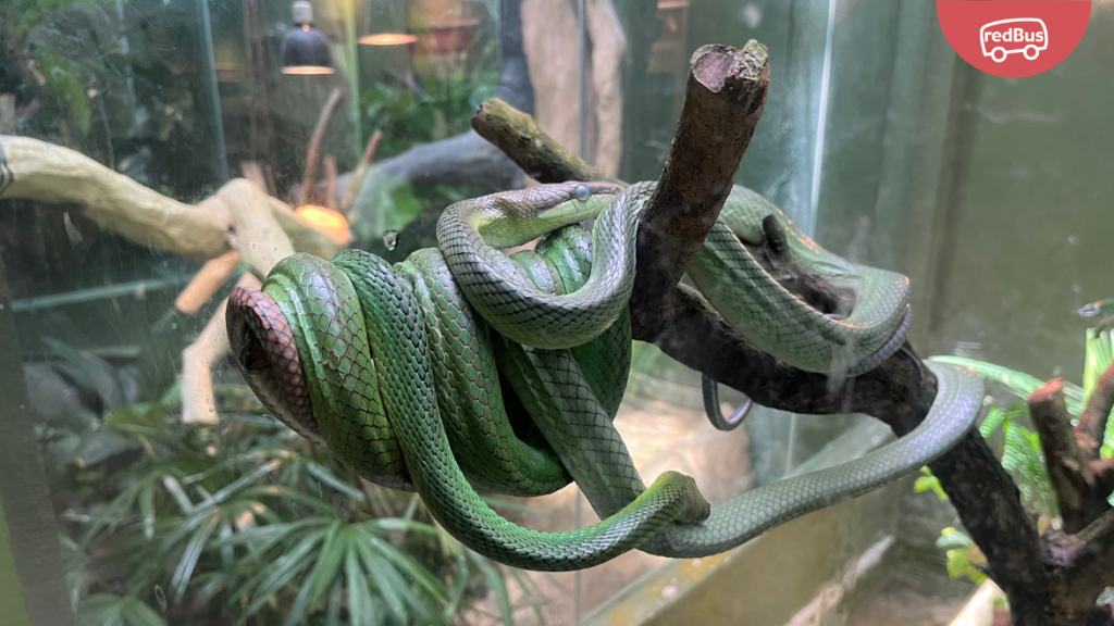 National Zoo of Malaysia