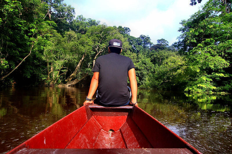 The 130-Million-Year-Old Cure for Burnout: Taman Negara Healing