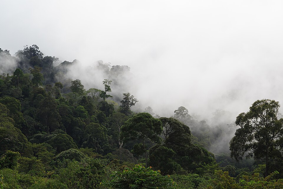 Kundasang