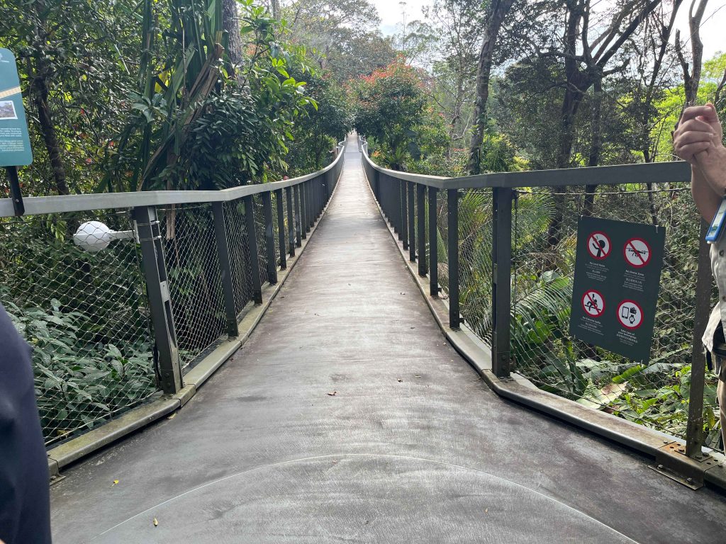 The Langur Way Canopy Walk, The Habitat Penang Hill