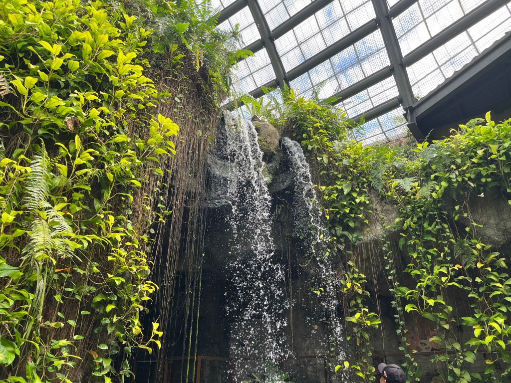 magical waterfall at entopia penang