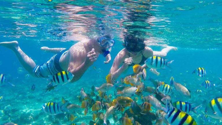 Snorkelling in Langkawi Island