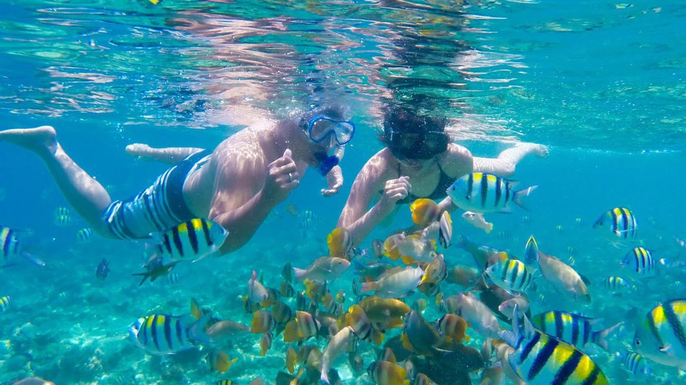 Snorkelling in Langkawi Island