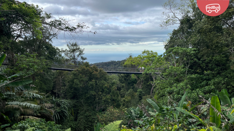 The Habitat Penang Hill