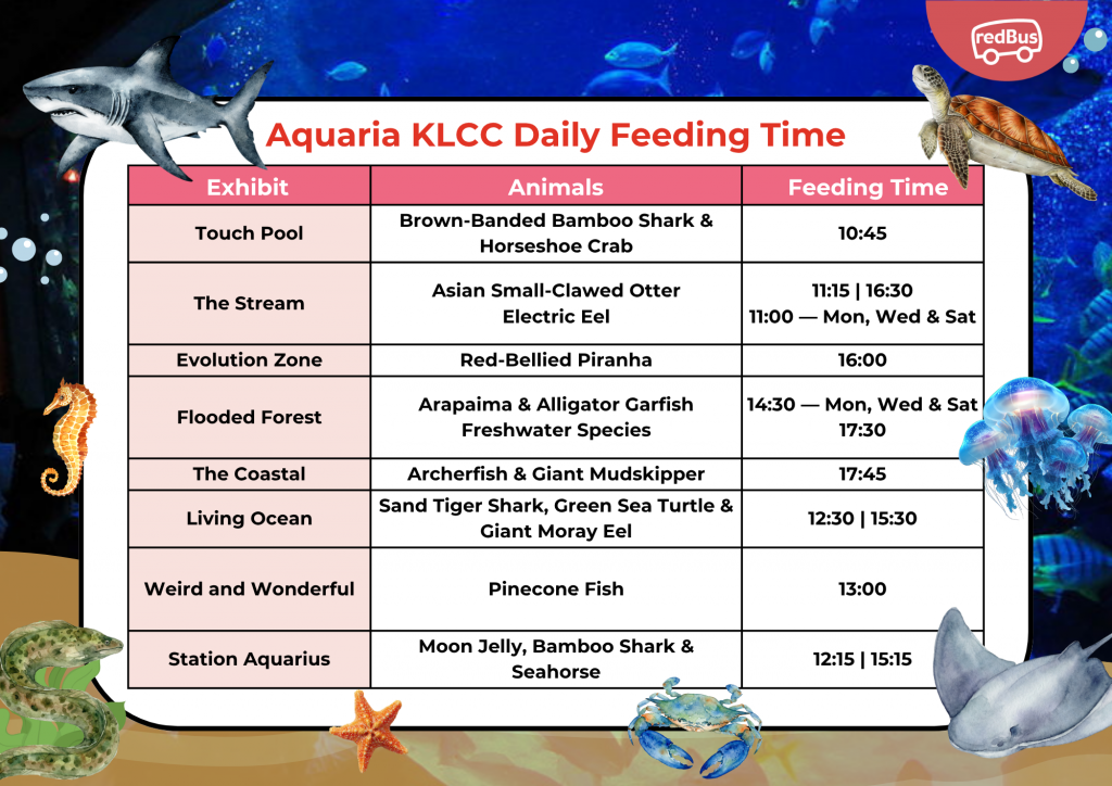 aquaria klcc daily feeding timetable