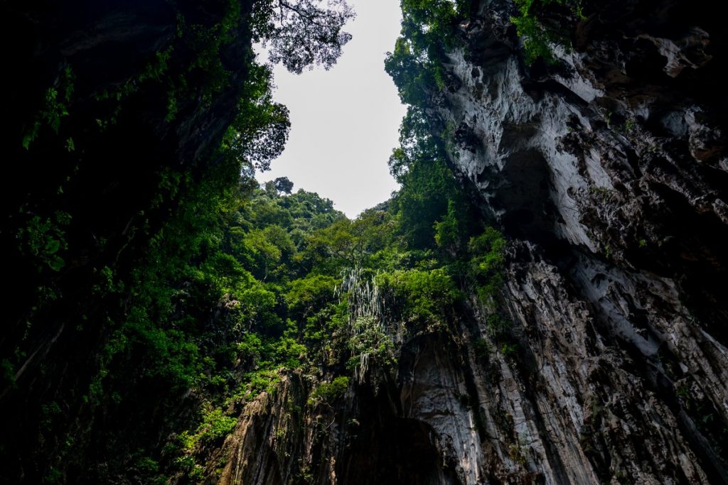 Dark Cave, Batu Caves