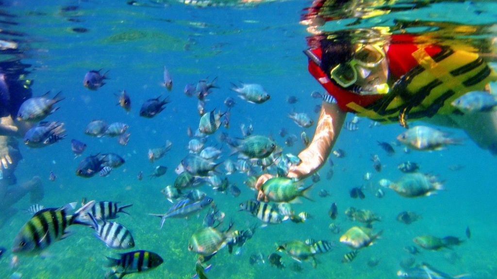 langkawi snorkelling tour