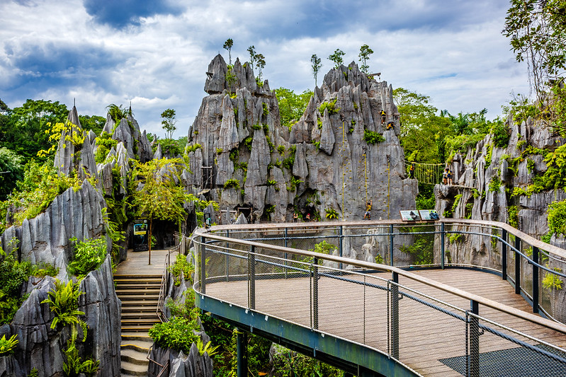 Rainforest Wild ASIA