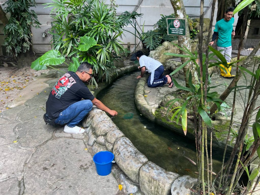 fishing at farm in the city