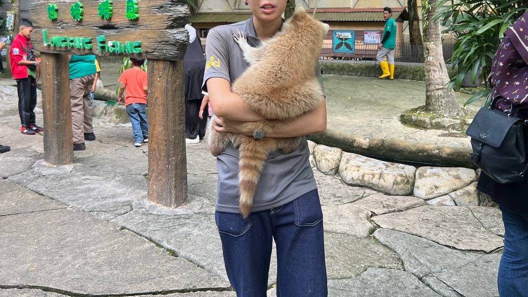 carrying a raccoon at farm in the city