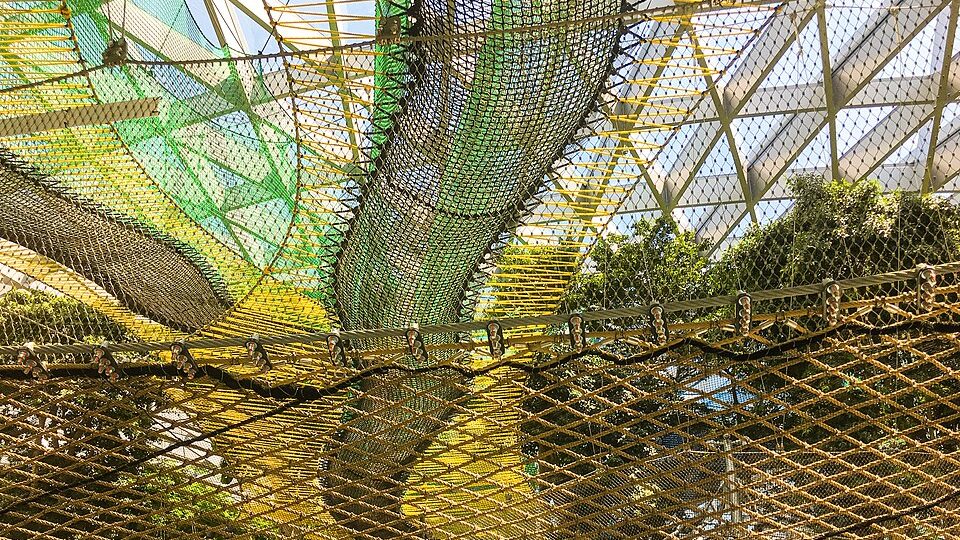 walking net jewel changi airport