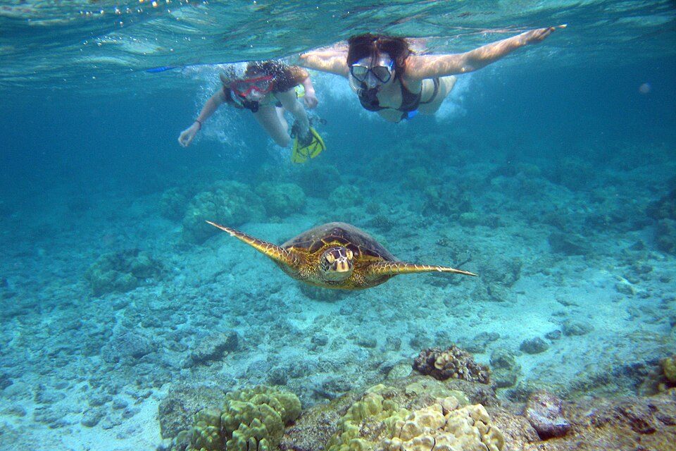 Snorkelling Day Tour in Dreamer's Island, Sabah