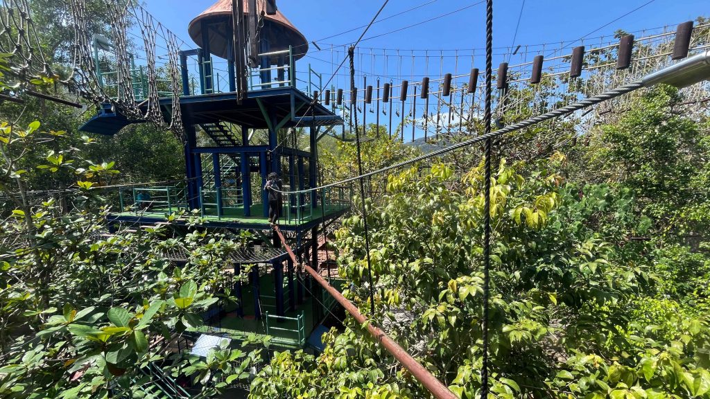 monkey business at escape penang