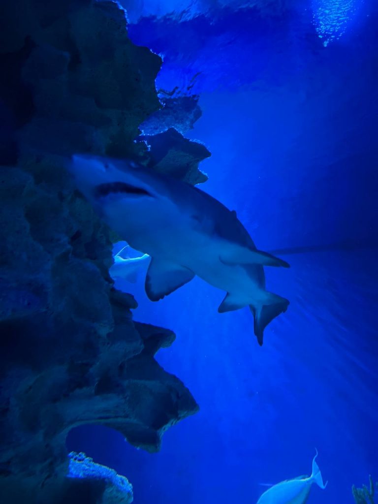 Aquaria KLCC