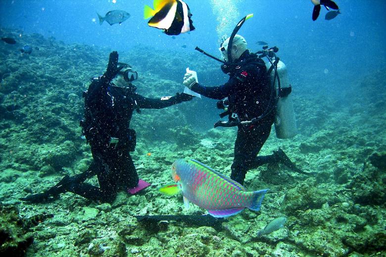 Diving in Dreamer's Island, Sabah