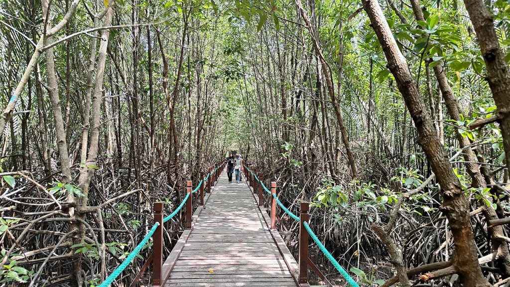 Setiu Boardwalk, Terengganu