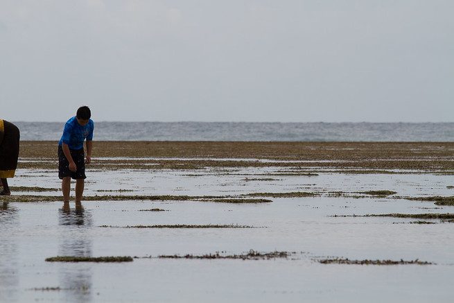 Clam Digging