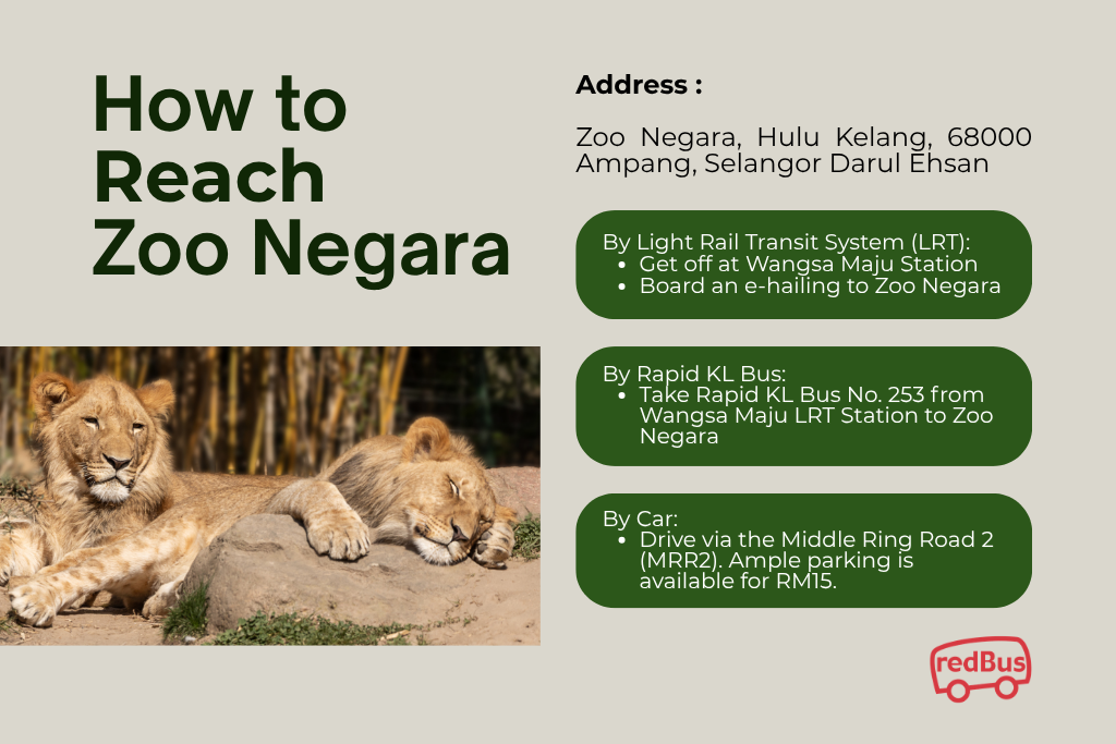 How to Go to Zoo Negara