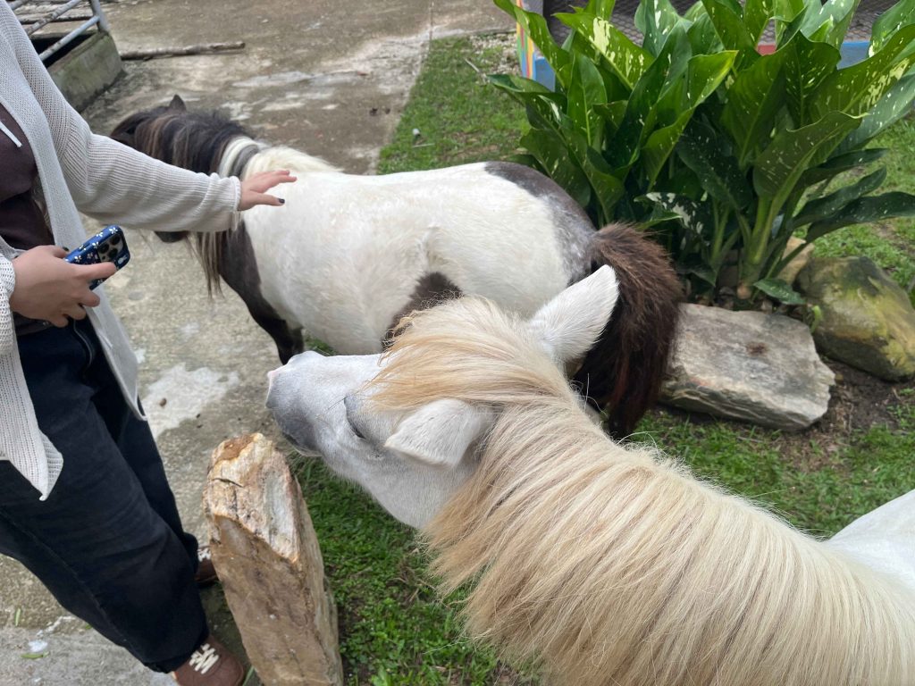 Machinchang Petland Langkawi