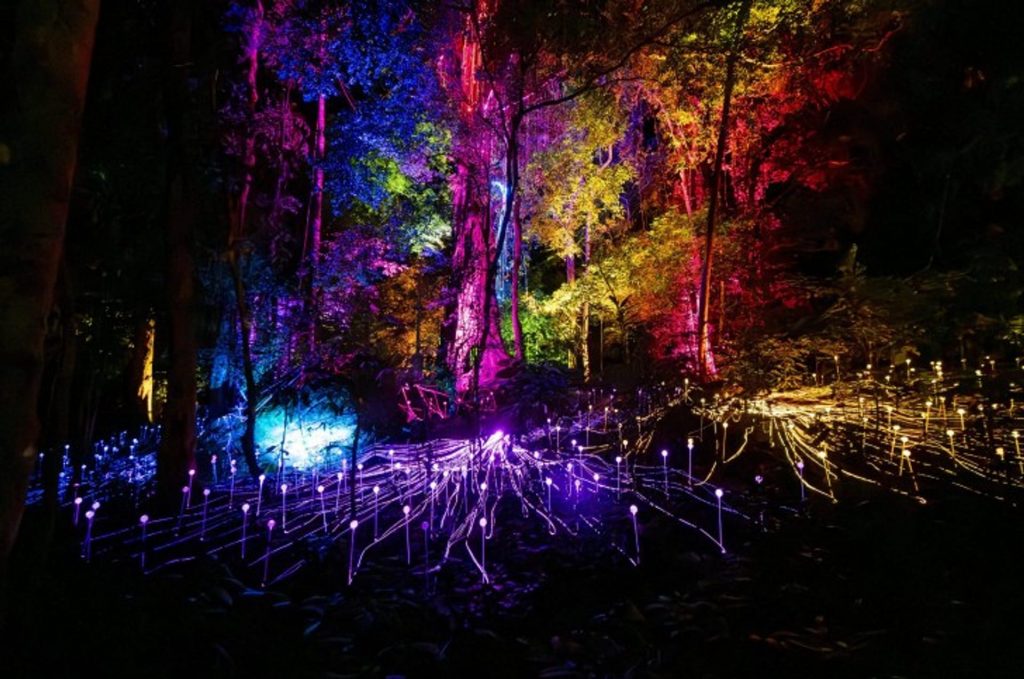 Dream Forest Langkawi Lights