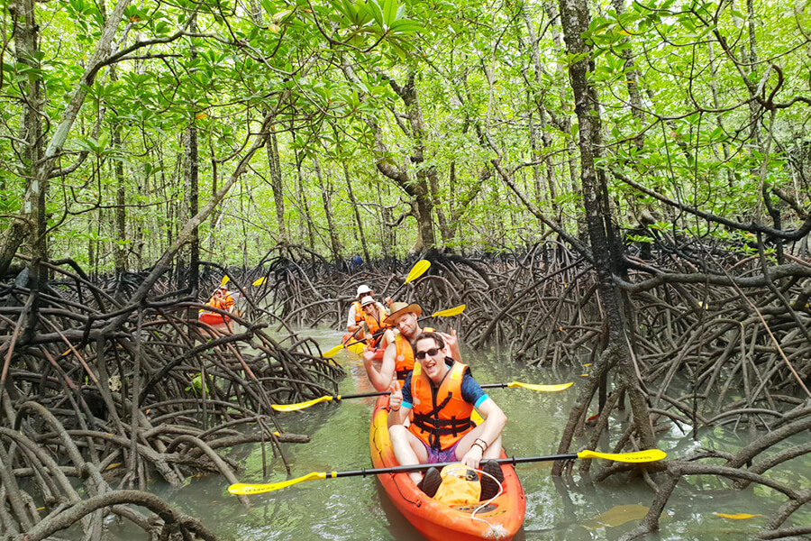 Langkawi Mangrove & Island Hopping Tour